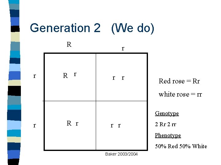 Generation 2 (We do) R r r r r Red rose = Rr white