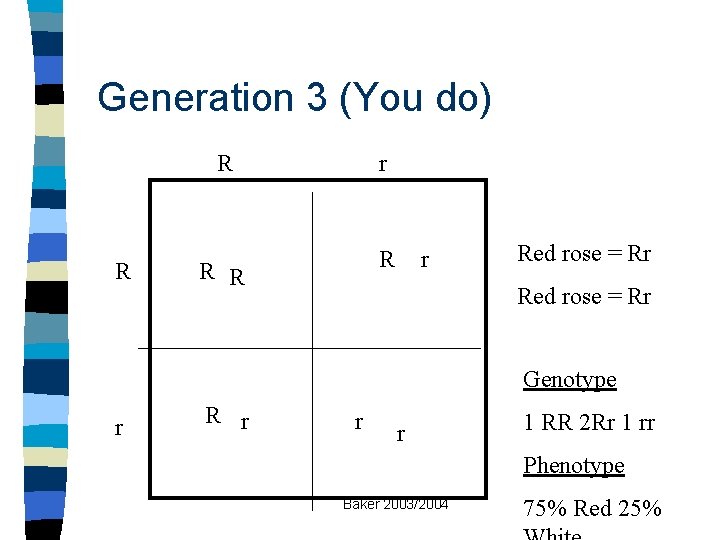 Generation 3 (You do) R R r Red rose = Rr Genotype r R