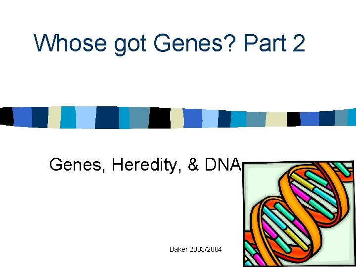 Whose got Genes? Part 2 Genes, Heredity, & DNA Baker 2003/2004 