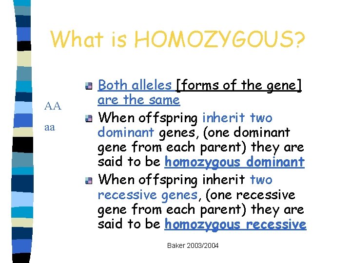 What is HOMOZYGOUS? AA aa Both alleles [forms of the gene] are the same