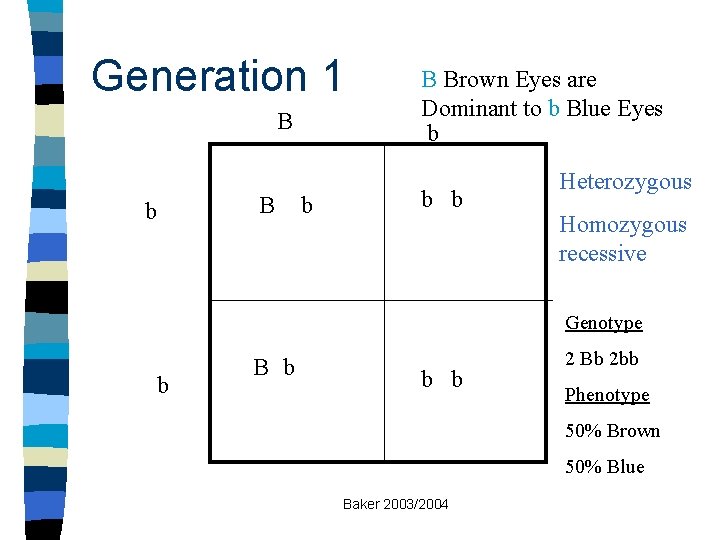 Generation 1 B B b b B Brown Eyes are Dominant to b Blue