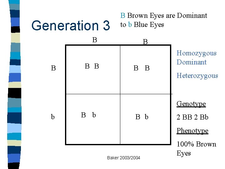 Generation 3 B Brown Eyes are Dominant to b Blue Eyes B B B