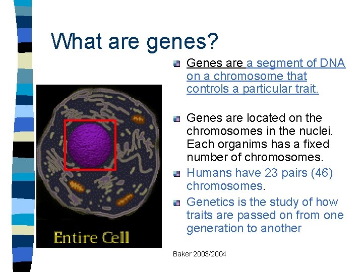 What are genes? Genes are a segment of DNA on a chromosome that controls