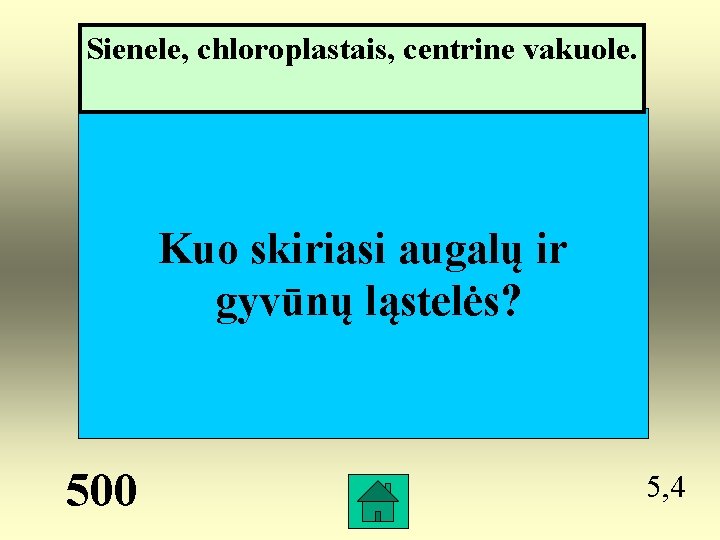 Sienele, chloroplastais, centrine vakuole. Kuo skiriasi augalų ir gyvūnų ląstelės? 500 5, 4 