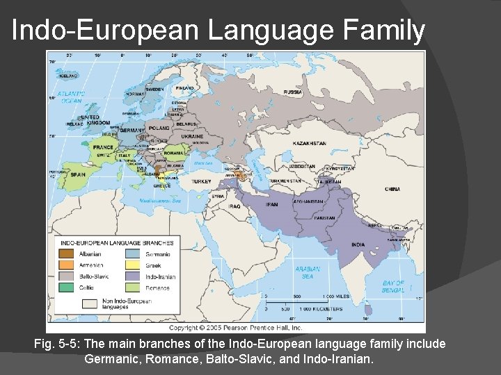 Indo-European Language Family Fig. 5 -5: The main branches of the Indo-European language family