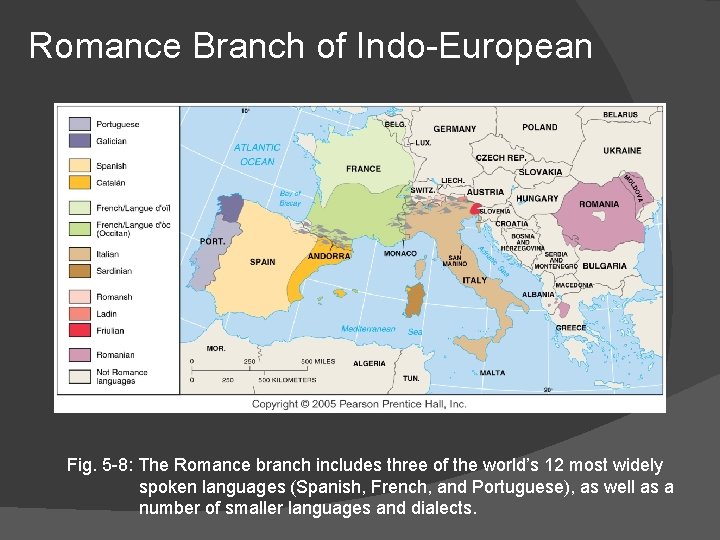 Romance Branch of Indo-European Fig. 5 -8: The Romance branch includes three of the