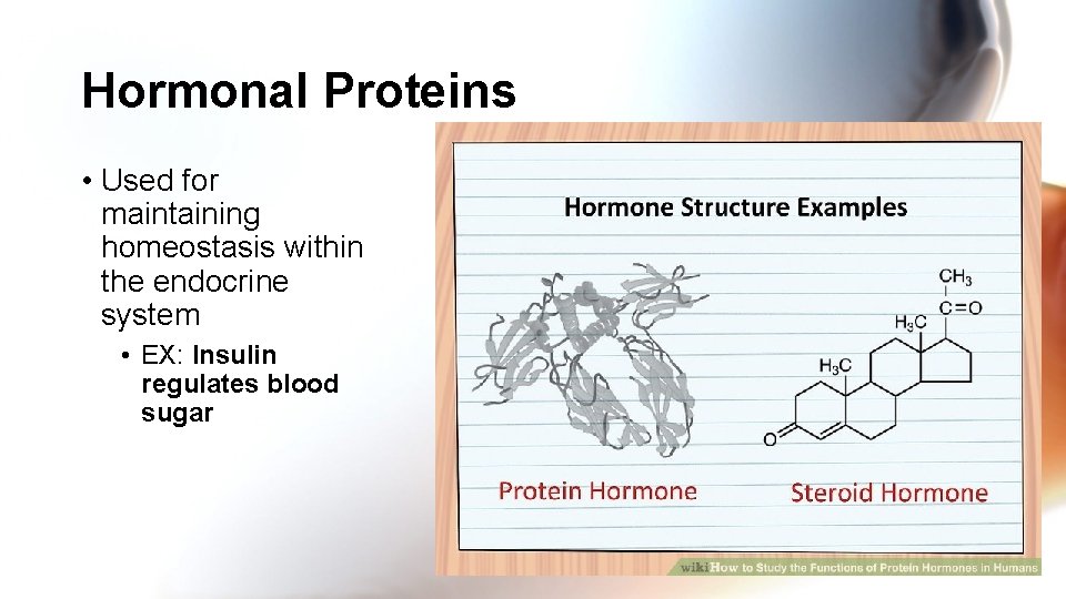Hormonal Proteins • Used for maintaining homeostasis within the endocrine system • EX: Insulin