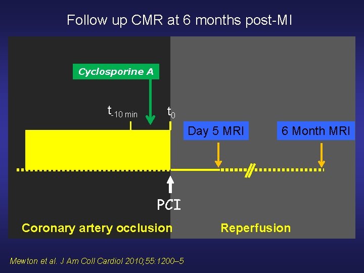 Follow up CMR at 6 months post-MI Cyclosporine A t-10 min t 0 Day