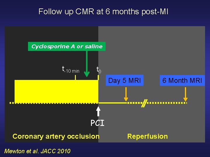 Follow up CMR at 6 months post-MI Cyclosporine A or saline t-10 min t