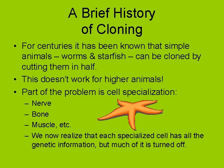 A Brief History of Cloning • For centuries it has been known that simple