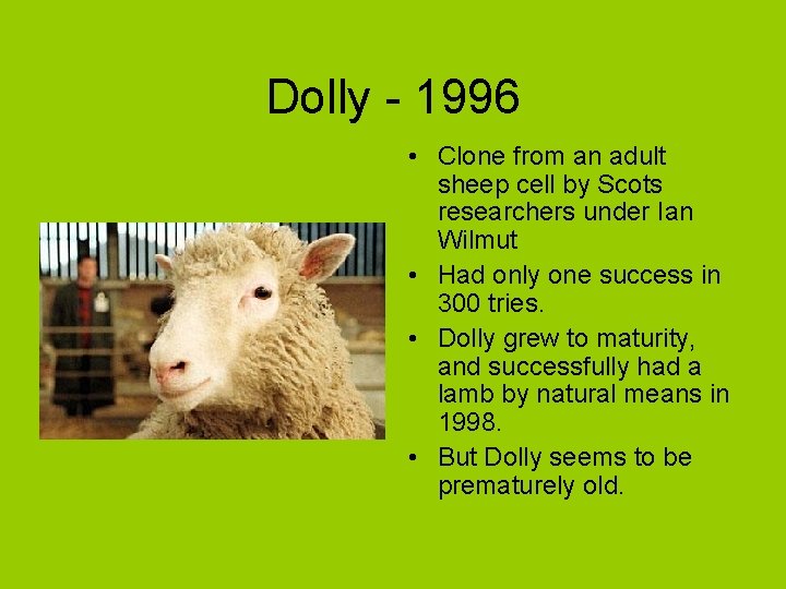 Dolly - 1996 • Clone from an adult sheep cell by Scots researchers under