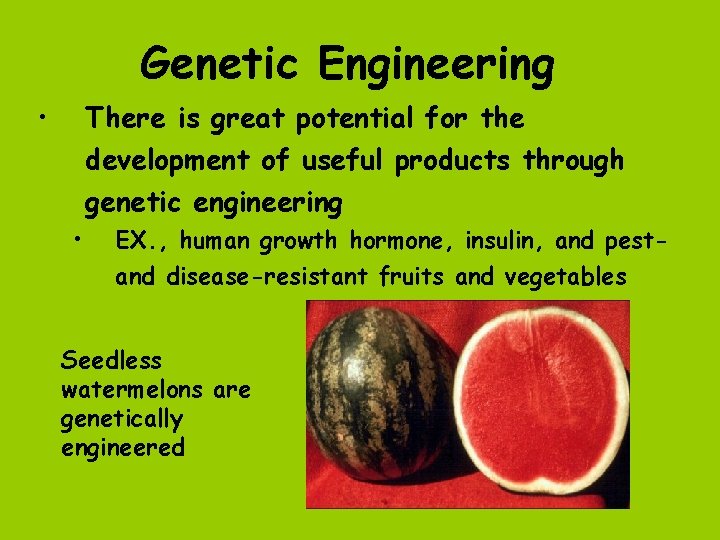 Genetic Engineering • There is great potential for the development of useful products through