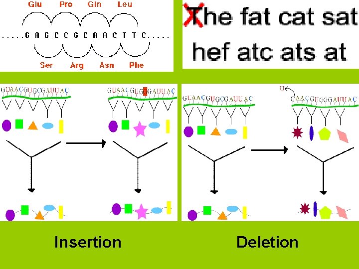 Insertion Deletion 