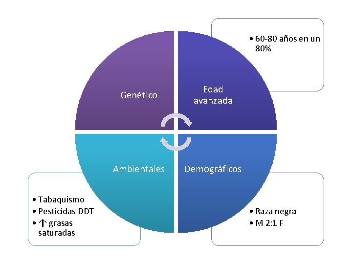  • 60 -80 años en un 80% • Tabaquismo • Pesticidas DDT •