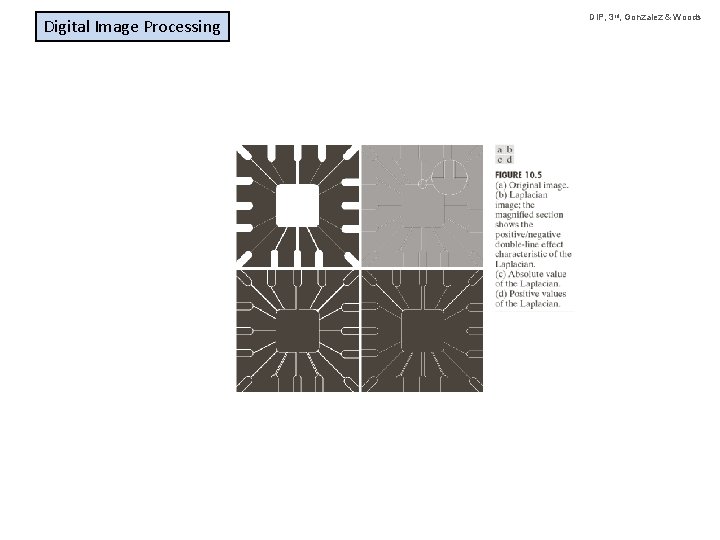 Digital Image Processing DIP, 3 rd, Gonzalez & Woods 