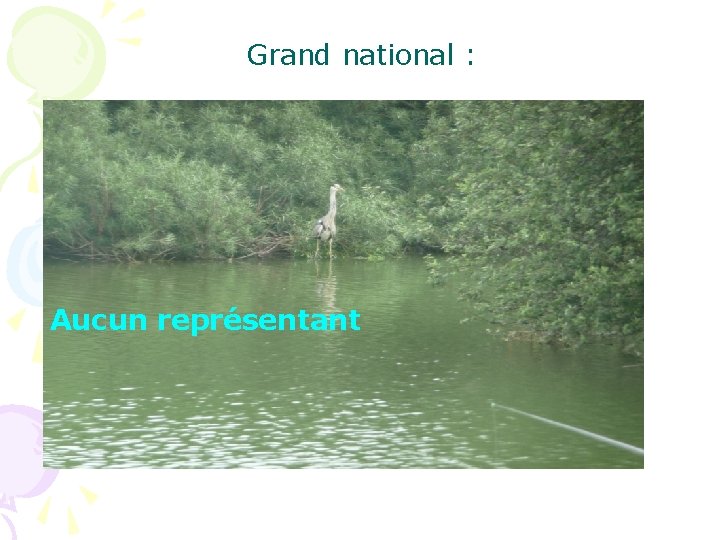 Grand national : Aucun représentant 