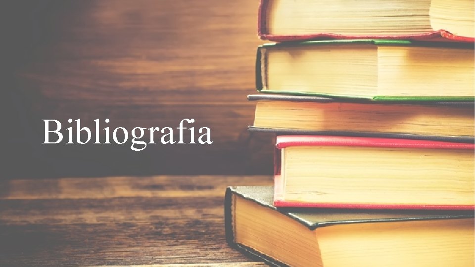 Bibliografia 