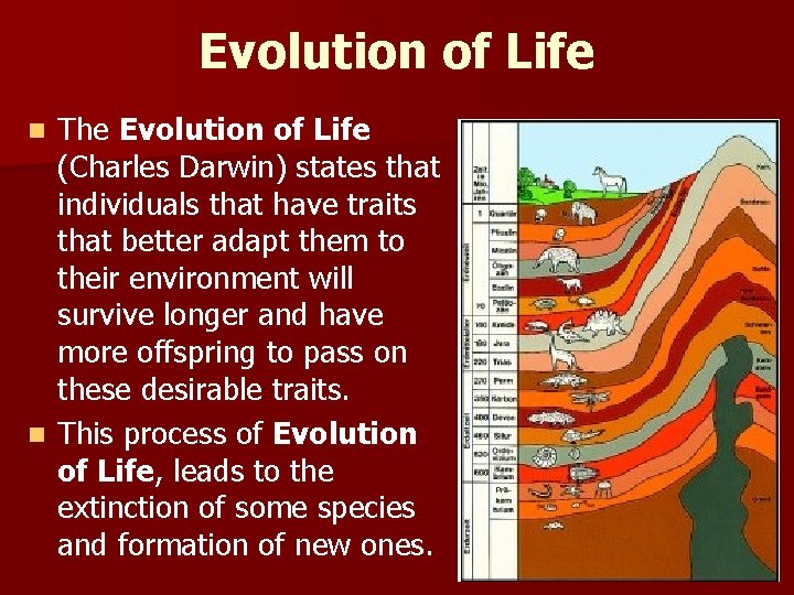 Evolution of Life The Evolution of Life (Charles Darwin) states that individuals that have