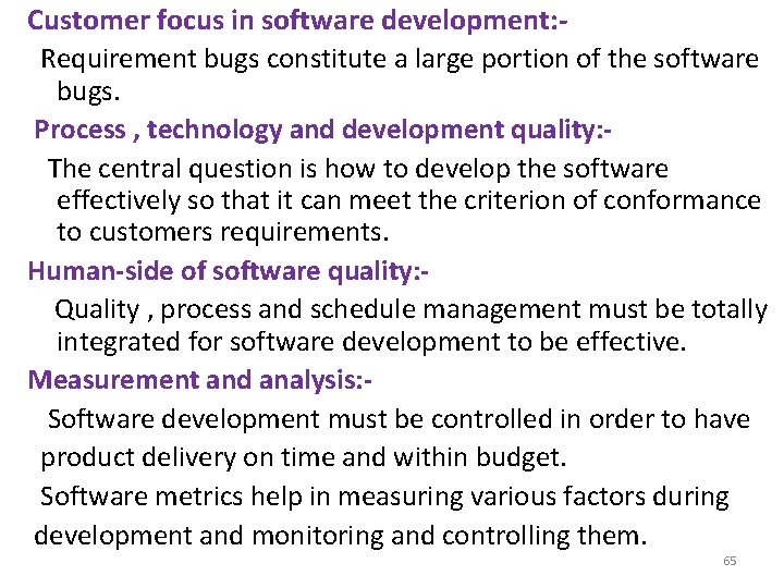 Customer focus in software development: Requirement bugs constitute a large portion of the software