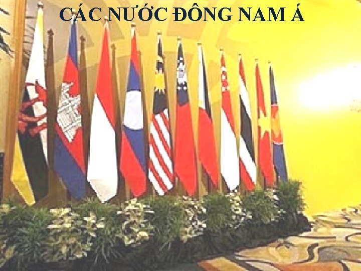 CÁC NƯỚC ĐÔNG NAM Á 