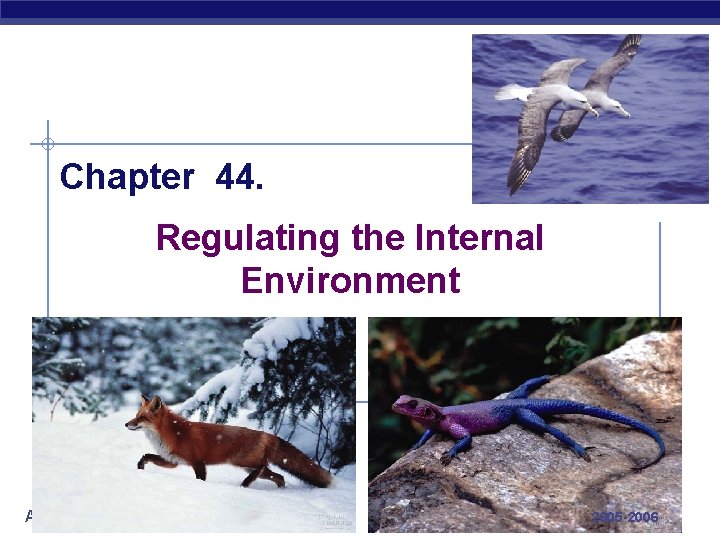 Chapter 44. Regulating the Internal Environment AP Biology 2005 -2006 