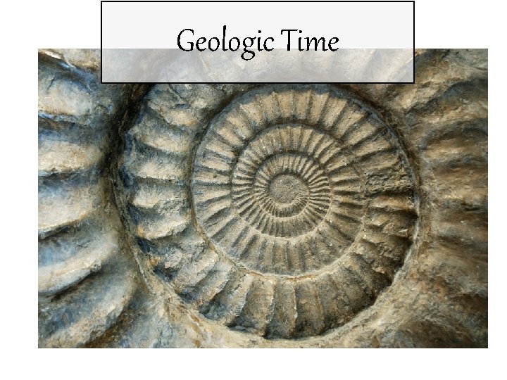 Geologic Time 