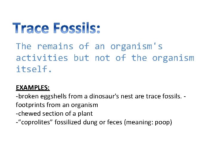 The remains of an organism's activities but not of the organism itself. EXAMPLES: -broken