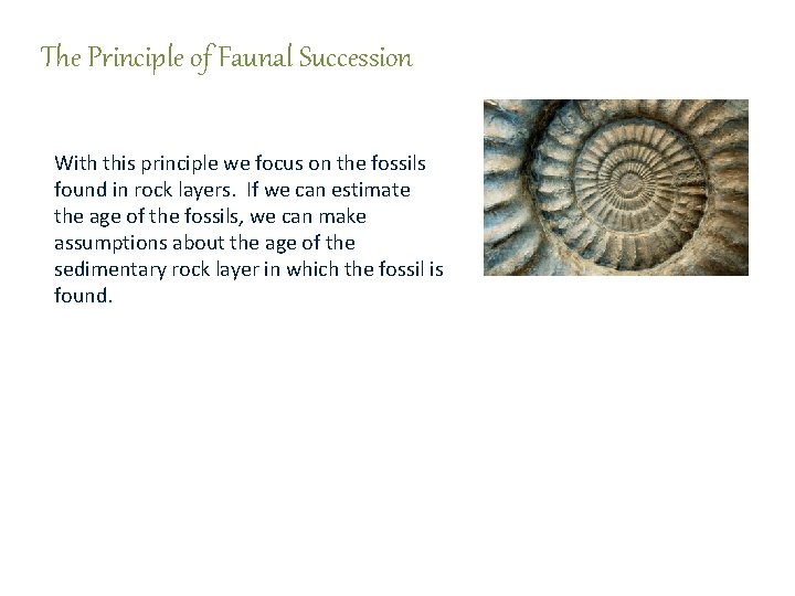 The Principle of Faunal Succession With this principle we focus on the fossils found