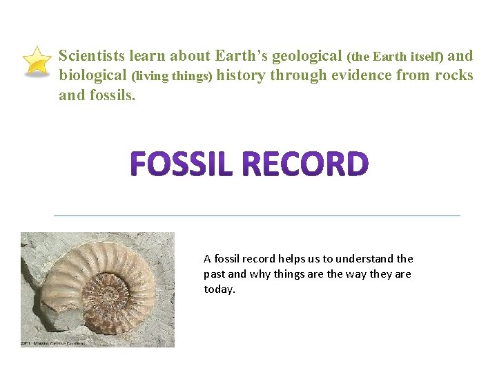 Scientists learn about Earth’s geological (the Earth itself) and biological (living things) history through