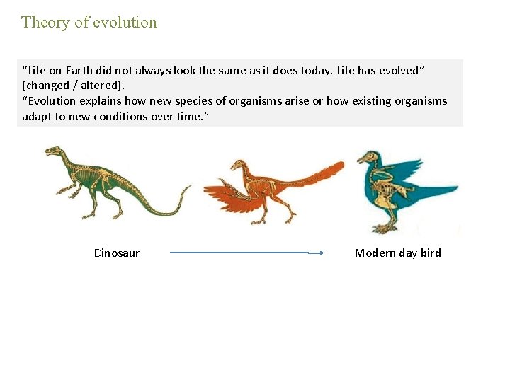 Theory of evolution “Life on Earth did not always look the same as it