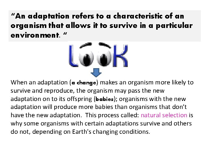 “An adaptation refers to a characteristic of an organism that allows it to survive