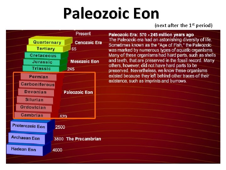 Paleozoic Eon (next after the 1 st period) 