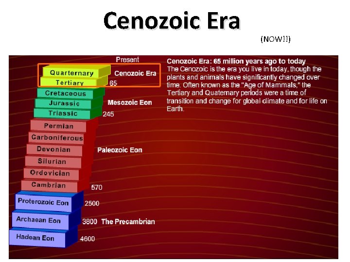 Cenozoic Era (NOW!!) 