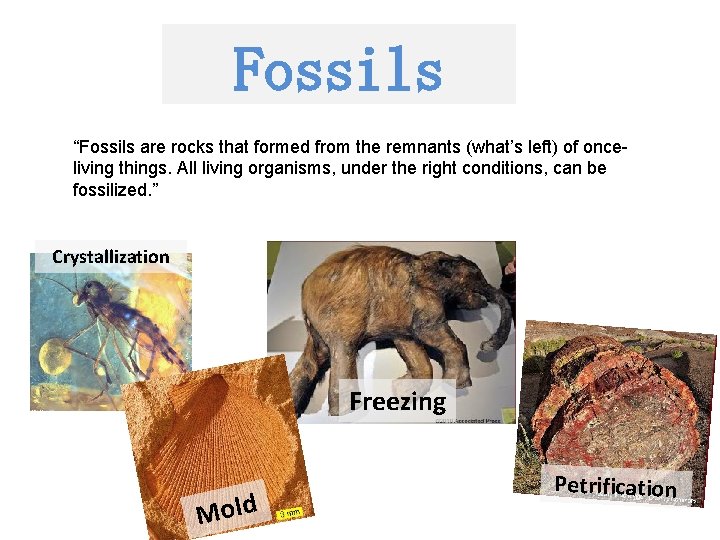 Fossils “Fossils are rocks that formed from the remnants (what’s left) of onceliving things.