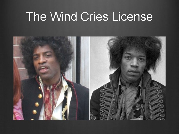 The Wind Cries License 