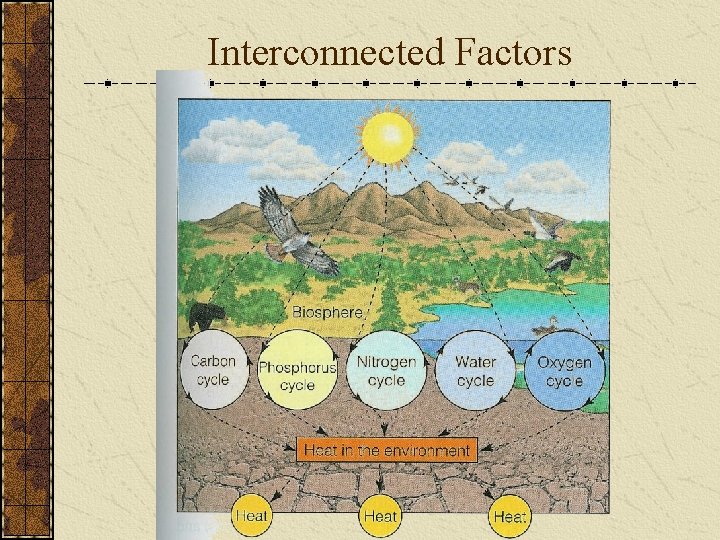 Interconnected Factors 