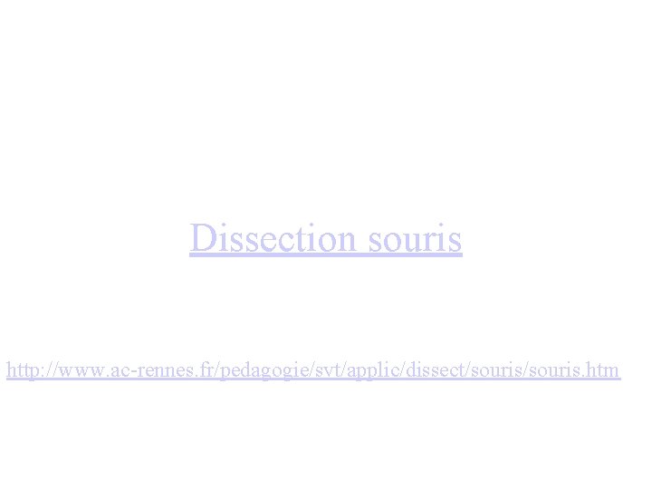 Dissection souris http: //www. ac-rennes. fr/pedagogie/svt/applic/dissect/souris. htm 