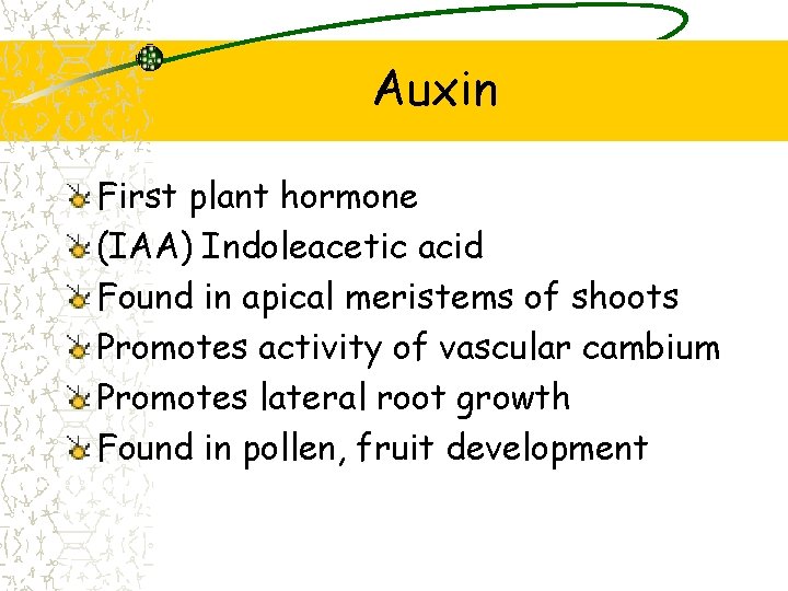 Auxin First plant hormone (IAA) Indoleacetic acid Found in apical meristems of shoots Promotes