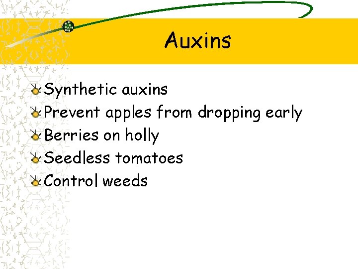 Auxins Synthetic auxins Prevent apples from dropping early Berries on holly Seedless tomatoes Control