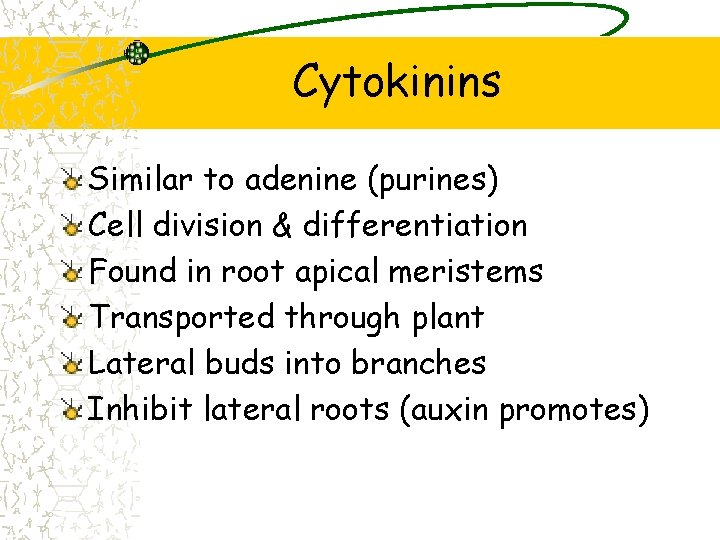 Cytokinins Similar to adenine (purines) Cell division & differentiation Found in root apical meristems