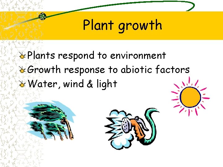 Plant growth Plants respond to environment Growth response to abiotic factors Water, wind &