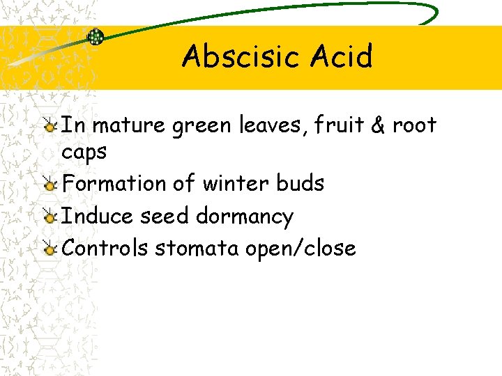 Abscisic Acid In mature green leaves, fruit & root caps Formation of winter buds