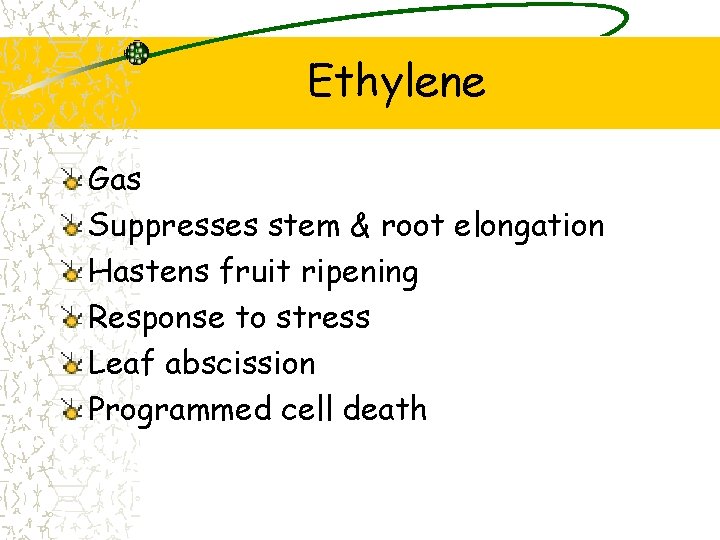 Ethylene Gas Suppresses stem & root elongation Hastens fruit ripening Response to stress Leaf