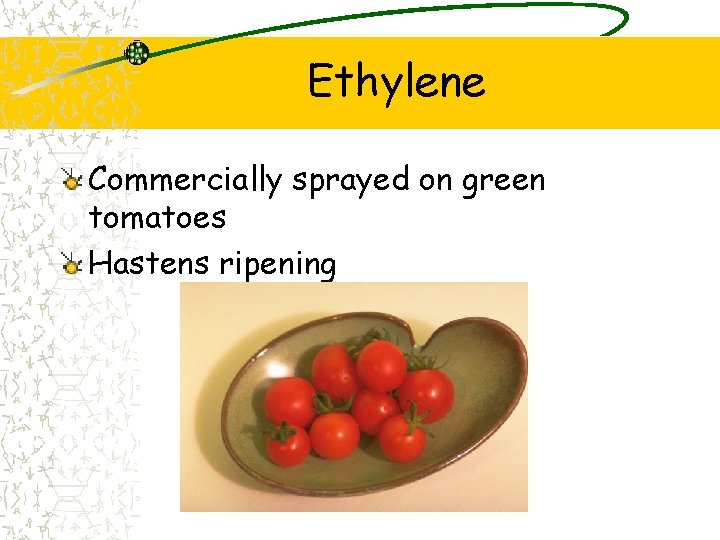 Ethylene Commercially sprayed on green tomatoes Hastens ripening 