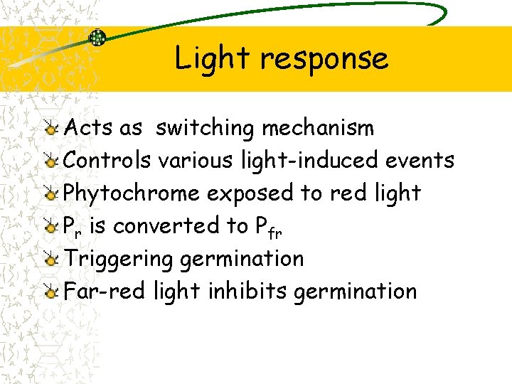 Light response Acts as switching mechanism Controls various light-induced events Phytochrome exposed to red