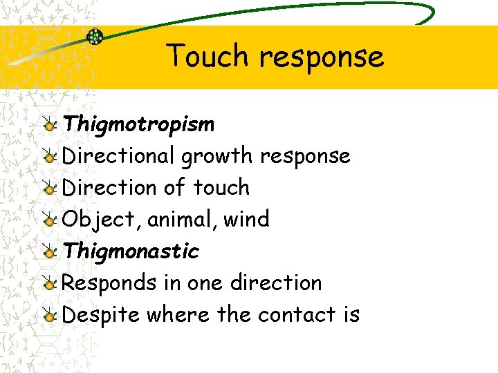 Touch response Thigmotropism Directional growth response Direction of touch Object, animal, wind Thigmonastic Responds