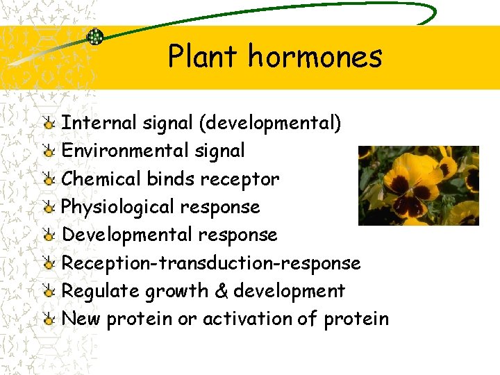 Plant hormones Internal signal (developmental) Environmental signal Chemical binds receptor Physiological response Developmental response