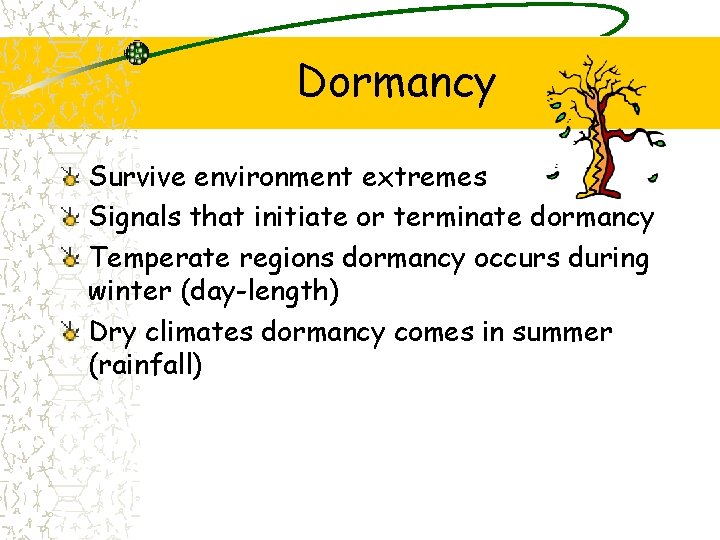 Dormancy Survive environment extremes Signals that initiate or terminate dormancy Temperate regions dormancy occurs