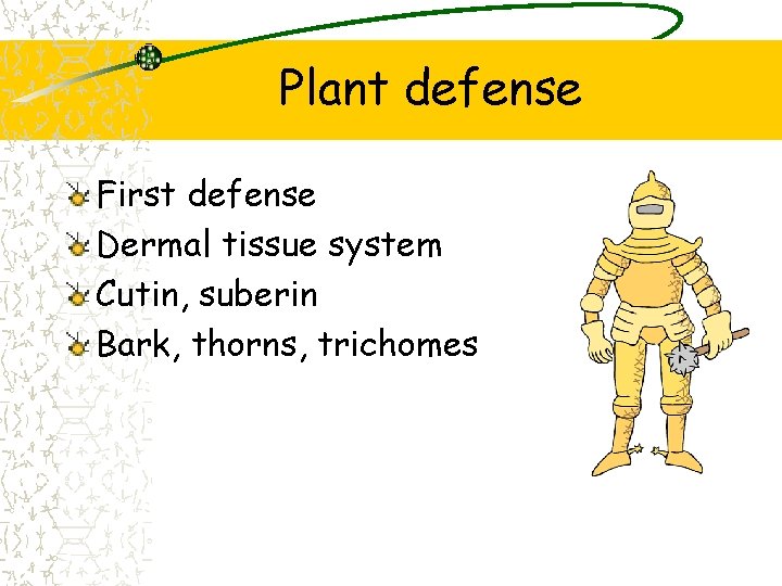 Plant defense First defense Dermal tissue system Cutin, suberin Bark, thorns, trichomes 