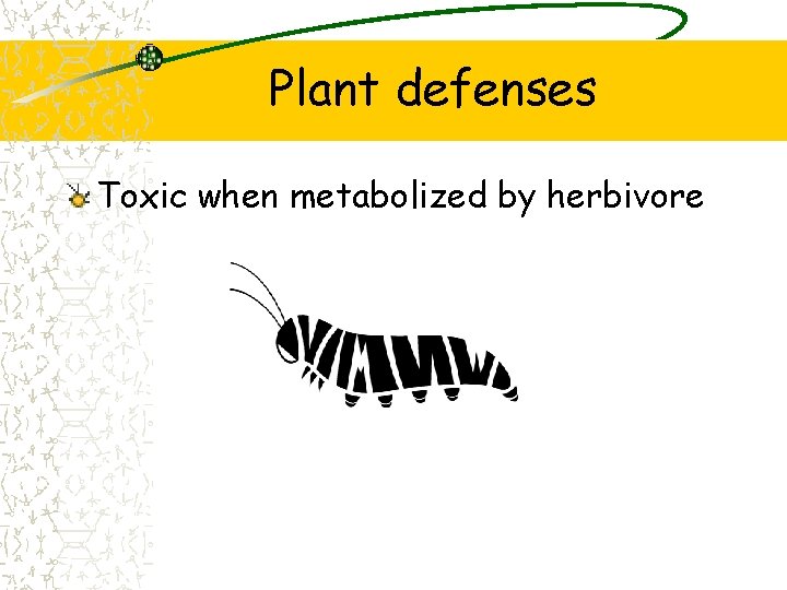 Plant defenses Toxic when metabolized by herbivore 